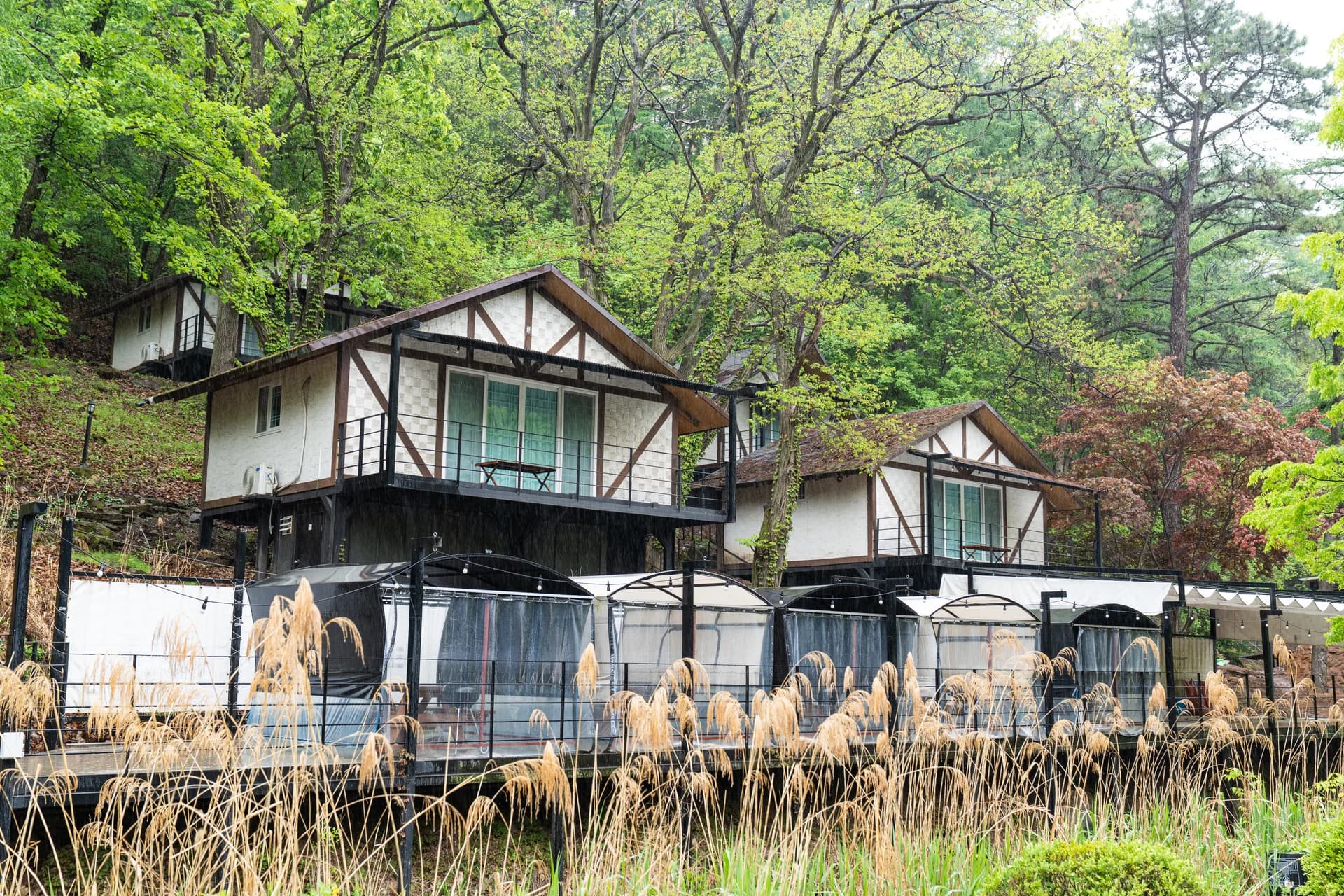 초호쉼터 전경 - 숲 속에 자리한 펜션과 갈대밭